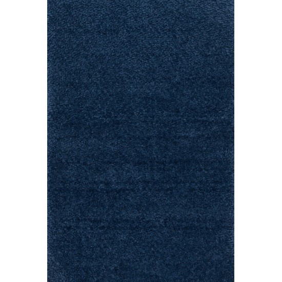 Wall to wall carpet BIOKARPET Pandora 9004 RR 33 Blue