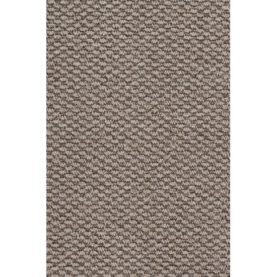 Wall to wall carpet BIOKARPET Rubens 9020 63 L Beige