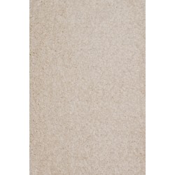 Wall to wall carpet BIOKARPET Avinion 9006 60 Wall to wall carpet BIOKARPET Avinion 9006 60