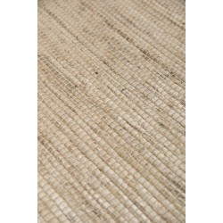 Papilio Windy 22007 000