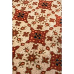 ΚΛΑΣΙΚΟ ΧΑΛΙ BIOKARPET Sherkat Bakhtiar 115x240cm ΚΛΑΣΙΚΟ ΧΑΛΙ BIOKARPET Sherkat Bakhtiar 115x240cm