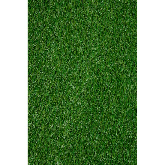VENICE GRASS 13 VENICE GRASS 13